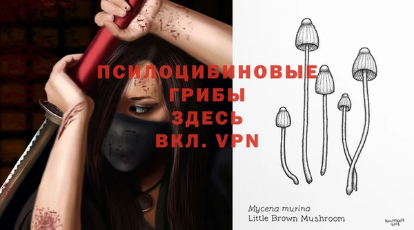 не бодяженный Абдулино