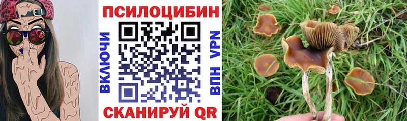 Галлюциногенные грибы Psilocybine cubensis купить наркоту Аксай