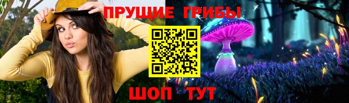 Аксай  магазин продажи наркотиков  Псилоцибиновые грибы мицелий  Вход с VPN  Галлюциногенные грибы MAGIC MUSHROOMS 